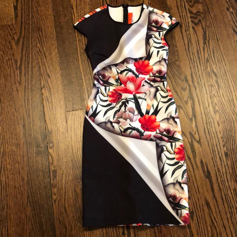 Clover canyon dress